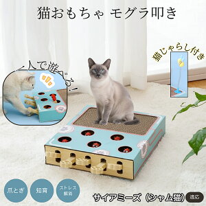 �y5�{�|�C���g�z�T�C�A�~�[�Y�L�� �V���� �L�������� ������@�����L����炵��̌^�X�N���b�`���[ �܂Ƃ� �_���{�[���L�܂Ƃ� ��яo���l�Y�~ �ЂƂ�V��OK �����L�^���s������ ��������