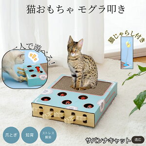 �y5�{�|�C���g�z�T�o���i�L���b�g�L �T�o���i �L�������� ������@�����L����炵��̌^�X�N���b�`���[ �܂Ƃ� �_���{�[���L�܂Ƃ� ��яo���l�Y�~ �ЂƂ�V��OK �����L�^���s������ ����