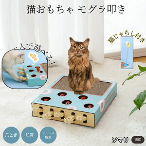 �y5�{�|�C���g�z�\�}���L�� �\�}�� �L�������� ������@�����L����炵��̌^�X�N���b�`���[ �܂Ƃ� �_���{�[���L�܂Ƃ� ��яo���l�Y�~ �ЂƂ�V��OK �����L�^���s������ ���������p�X�g