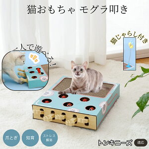 �y5�{�|�C���g�z�g���L�j�[�Y�L�� �g���L �L�������� ������@�����L����炵��̌^�X�N���b�`���[ �܂Ƃ� �_���{�[���L�܂Ƃ� ��яo���l�Y�~ �ЂƂ�V��OK �����L�^���s������ ��������