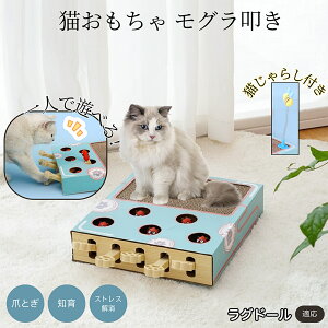 �y5�{�|�C���g�z���O�h�[���L�� ���O �L�������� ������@�����L����炵��̌^�X�N���b�`���[ �܂Ƃ� �_���{�[���L�܂Ƃ� ��яo���l�Y�~ �ЂƂ�V��OK �����L�^���s������ ���������p�X