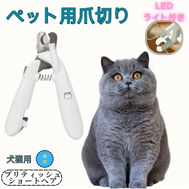 【5倍ポイント】 ペット用爪切り 犬猫爪切り LEDライト付き 犬 爪切り 猫用 ネイルトリマー 簡単操作 初心者対応 小型 コンパクト 持ち運びやすい ステンレス製 小型犬 うさぎ 小動物対応