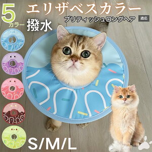 �y5�{�|�C���g�z�u���e�B�b�V�������O�w�A�L �u������ �G���U�x�X�J���[ �� �L �y�b�g�p �h�� �\�t�g ���L���p ��� ��� �p�� �P�A ���� �ی� �Ō� �p�i �y�� ���� �g���₷��