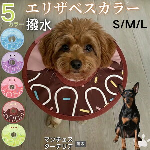 �y5�{�|�C���g�z�}���`�F�X�^�[�e���A�� �}���`�F �G���U�x�X�J���[ �� �L �y�b�g�p �h�� �\�t�g ���L���p ��� ��� �p�� �P�A ���� �ی� �Ō� �p�i �y�� ���� �g���₷��