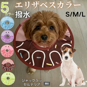 �y5�{�|�C���g�z�W���b�N���b�Z���e���A�� �W���b�N���b�Z�� �G���U�x�X�J���[ �� �L �y�b�g�p �h�� �\�t�g ���L���p ��� ��� �p�� �P�A ���� �ی� �Ō� �p�i �y�� ���� �g���₷��