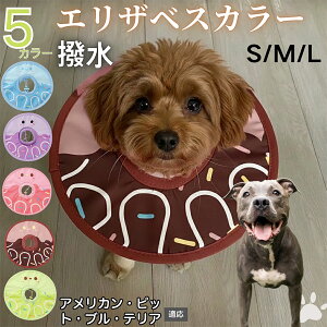 �y5�{�|�C���g�z�A�����J���s�b�g�u���e���A�� �A���s�b�g �G���U�x�X�J���[ �� �L �y�b�g�p �h�� �\�t�g ���L���p ��� ��� �p�� �P�A ���� �ی� �Ō� �p�i �y�� ���� �g���₷��