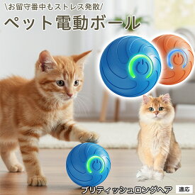 【5倍ポイント】 ブリティッシュロングヘア猫 ブリロン 犬 猫 用 電動 おもちゃ ボール 自動 回転 光る 不規則 動作 USB 充電 Type-C 静音 2モード 室内 遊び ペット 玩具