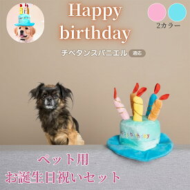 【5倍ポイント】 チベタンスパニエル犬 チベスパ 誕生日 ペット 帽子 犬 猫 バースデーハット ケーキデザイン かぶりもの 仮装 パーティー コスプレ 可愛い インスタ映え 小型犬 中型犬 猫用 おしゃれ ペットグッズ