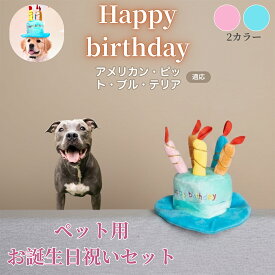 【5倍ポイント】 アメリカンピットブルテリア犬 アンピット 誕生日 ペット 帽子 犬 猫 バースデーハット ケーキデザイン かぶりもの 仮装 パーティー コスプレ 可愛い インスタ映え 小型犬 中型犬 猫用 おしゃれ ペットグッズ
