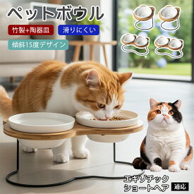 【5倍ポイント】 エキゾチックショートヘア猫 エキゾ ペット 食器 陶器 フードボウル 猫 犬 食器台 傾斜 スタンド付き 餌入れ 水飲み 食洗機対応 電子レンジ対応 清潔 持ち運び 丈夫 食べやすい 餌皿 15度 角度付 1口 2口