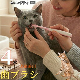 【5倍ポイント】 セレンゲティ猫種 セレンゲティ 【4本セット】 犬 歯ブラシ ペット用 猫 歯垢 除去 1万本 毛 歯周ケア 歯石対策 口臭予防 ケア用品 歯磨き はぶらし コンパクトヘッド 隙間 掃除 清潔 介護