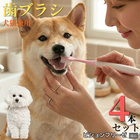 【5倍ポイント】 ビションフリーゼ犬 ビション 【4本セット】 犬 歯ブラシ ペット用 猫 歯垢 除去 1万本 毛 歯周ケア 歯石対策 口臭予防 ケア用品 歯磨き はぶらし コンパクトヘッド 隙間 掃除 清潔 介護