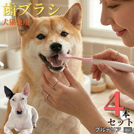 【5倍ポイント】 ミニチュアブルテリア犬 ミニブル 【4本セット】 犬 歯ブラシ ペット用 猫 歯垢 除去 1万本 毛 歯周ケア 歯石対策 口臭予防 ケア用品 歯磨き はぶらし コンパクトヘッド 隙間 掃除 清潔 介護