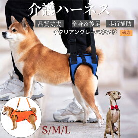 【5倍ポイント】 イタリアングレーハウンド犬 イタグレ 犬 介護用 ハーネス 全身用 歩行補助 軽量 ベルト 長さ調節可能 飼い主の負担軽減 腰痛対策 階段 段差 車の乗り降り 補助具 ドッグハーネス メッシュ素材