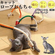 【5倍ポイント】 オリエンタルショートヘア猫 オリショ 猫用おもちゃ 噛む ロープ またたび入り 静音設計…