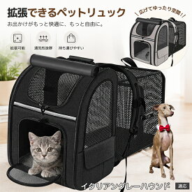 【5倍ポイント】 イタリアングレーハウンド犬 イタグレ ペットキャリーリュック 拡張式 背面テント型 メッシュ構造 視認性 飛び出し防止フック ファスナーロック マナー袋取り出し口 ポケット付き 散歩 アウトドア 便利グッズ
