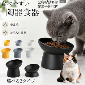 【5倍ポイント】 エキゾチックショートヘア猫 エキゾ 猫 フードボウル セラミック 傾斜 ズレにくい 倒れにくい 安定設計 重量感 食べこぼし防止 高級感 電子レンジ対応 食洗機対応 お手入れ簡単 ブラック グレー