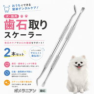 ポメラニアン犬 ポメ 犬用 スケーラー 歯石取り 2本 セット プロ 仕様 握りやすい 滑り止め グリップ 設…
