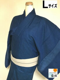 【中古】ウール リメイクシリーズ 男物 濃紺地に蚊絣文様 単衣 裄71 Lサイズ 【福服特製】リサイクル