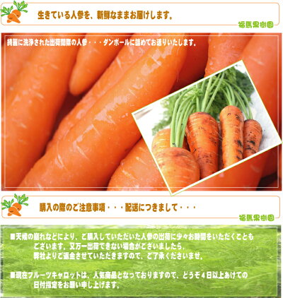 楽天市場 野菜 フルーツキャロット フルーツキャロット 1箱10kｇ 福馬果樹園ｓｈｏｐ