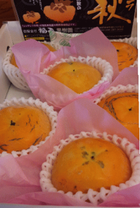 �F�{�v��Y�ƒ�p�V���f�������H����6�i���ʁj