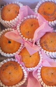 �V���f�������H�@8�ʁ`9�ʁi�ɏ��ʁj�@ 11�������n�������܂�