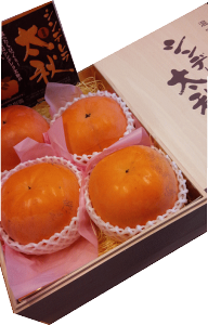 F{vYVfH@ōؔ@4ʁiʂŊ󏭏ij