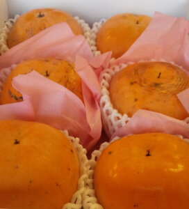 F{vYVfH@6ʁ@ϔ@2kg10`n͂܂܂