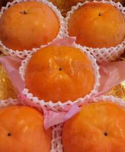 F{vYVfH5ʁiʁj@ϔ@͂10{@