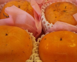 VfH4ʁiʁjƒp@10{납n\