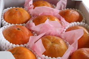 Ȃ݊`@8`113kg@11{n\