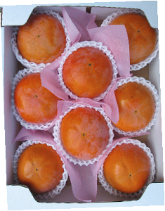 xL`@8iʁj@3kgz~Ȃ芮n@\͎󂯕t܂11΂ł