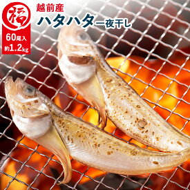 越前産 ハタハタ 一夜干し 約1.2kg 約60尾（200g・10尾前後×6パック）冷凍 小分け 福井県越前町 網元漁師直送 干物 はたはた