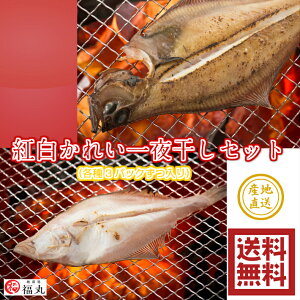 yYnzyⓀzہ@gꂢ銱@銱@Ԃꂢ@ꂢ@e3pbN@zOY@䌧@C̍K