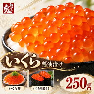 【16時までのご注文で当日出荷】ギフト 完熟 いくら 醤油漬け 250g イクラ 鱒いくら 手巻き寿司 いくら丼…