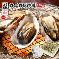 【16時まで当日発送】かき カキ 牡蠣 カンカン焼き 1.5kg 約20～30個入り かんかん焼き 兵庫県産 冷凍 食…