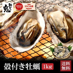 y16܂œz kt JL 1kg Ⓚ y  o[xL[ BBQ Ⓚ vCpŊȒP
