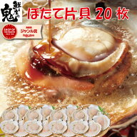【16時まで当日発送】2個で600円OFF！3個で1,200円OFFクーポン！ 北海道産 ほたて 片貝 20枚 ホタテ 帆立…