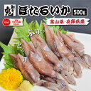 【16時までのご注文で当日出荷】2個で600円OFF！3個で1,200円OFFクーポン！ 刺身用 生冷凍 ホタルイカ 500g 70〜90尾入り 目取り ほたるいか お取り寄せ