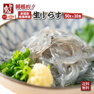 【16時まで当日発送】2個で600円OFF！3個で1,200円OFFクーポン！愛媛県産 生 しらす 500g (50g×10パック…