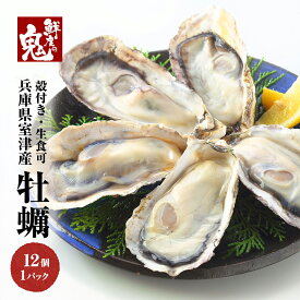 生食 OK 生牡蠣 12個入 スマート オイスター 生かき 刺身 殻付き 冷凍 送料無料 かき 牡蠣 おつまみ 珍味 即日発送