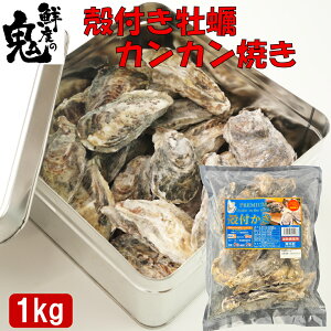 y16܂œz JL y JJĂ 1kg 񂩂Ă {錧Y Ⓚ Hו Rt Rły o[xL[ BBQ kt JJ Zbg  ܂  