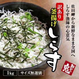 訳あり 釜揚げしらす 1kg 送料無料 わけあり かまあげ しらす 中元 ギフト プレゼント 業務用 徳用 海鮮丼 海鮮 どんぶり