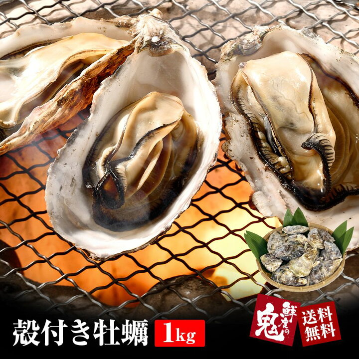 楽天市場 殻付き牡蠣 1ｋｇ カキ 兵庫県産 冷凍 牡蠣 かき バーベキュー q 殻付き 冷凍 送料無料 かき 母の日 父の日 かに海鮮 鮮度の鬼 神戸crab