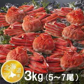 【16時まで当日発送】メガ盛り ボイル ずわいがに 姿 3kg 5〜7杯 かに カニ 蟹 ズワイガニ 食べ放題
