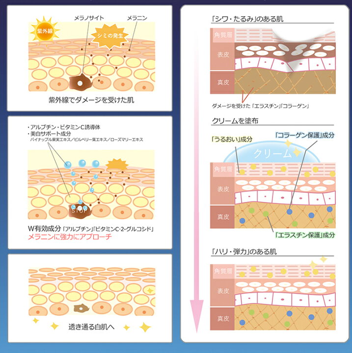 楽天市場 トミーリッチ 薬用リンクル 美白クリーム 25ml 医薬部外品 シワ シミ たるみ 乾燥肌 福耳商店