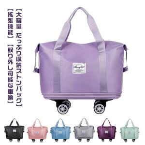 {XgobO @ 3way LX^[t h Cws g L[obO e fB[X y ъԊwZ L[IobO  sJo ^ sobO h 