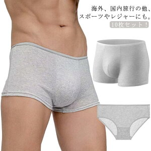 Sʕ pc  jp 100 Y T COs  10ZbgIĝ pc @ ĝĉY S op V[c Ci[ rWlX   lp