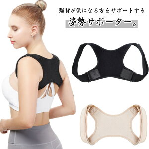 pxg Lw  p T|[^[ w؃xg ]xg wT|[^[  EȒP p xg ʋC pxg ˂w  ܂ Xg[glbN w ؃g