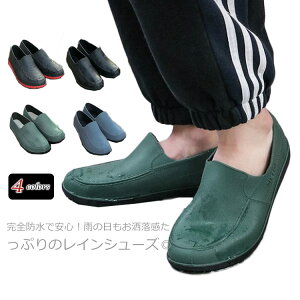 CV[Y Y Sh Xb| Xj[J[ hC V[Y CXb| JC Jp C o[u[c hh Cu[c ʋΒʊw _ | d y